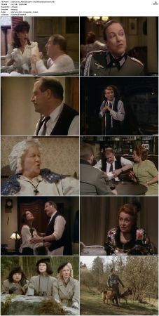 Allo Allo 1984 S01 S09 DVDRip X264-NGP