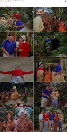 Gilligans Island S01 S03 DVDRip H264-NGP