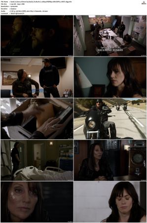 Sons of Anarchy S01-S07 SUPER-PACK 1080p WEBRip 10Bit DDP5.1 HEVC-d3g