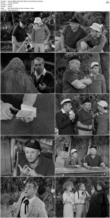 Gilligans Island S01 S03 DVDRip H264-NGP