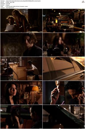 The Cleaner S01 S02 1080p AMZN WEBRip DDP 5 1 x265-iVy