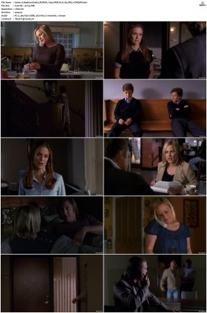 Medium S04 NORDiC 720p WEB-DL H 265 DD5.1-CiNEMiX