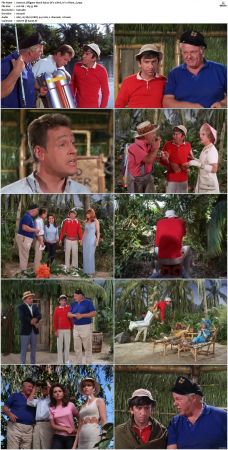 Gilligans Island S01 S03 DVDRip H264-NGP