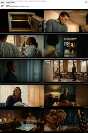 Professor T 2021 S01 S03 1080p WEBRip 10Bit DDP2 0 HEVC-d3g