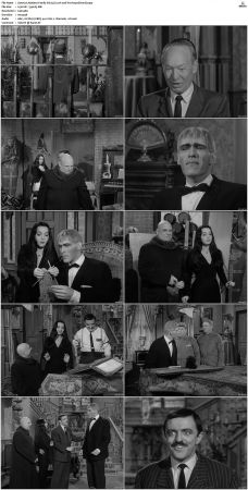The Addams Family 1964 S01 S02 DVDRip X264-NGP