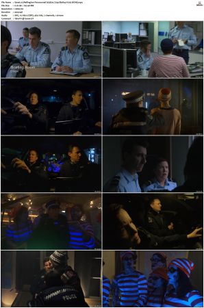 Wellington Paranormal S01 S04 720p BluRay H265 BONE