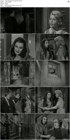 The Munsters 1964 S01 S02 DVDRip MPEG-NGP