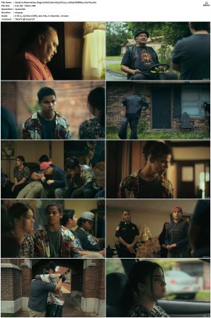 Reservation Dogs S01 S03 WEBRip EAC3 5 1 1080p x265-iVy