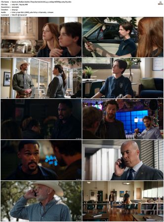 Walker S01 S04 WEBRip EAC3 5 1 1080p x265-iVy