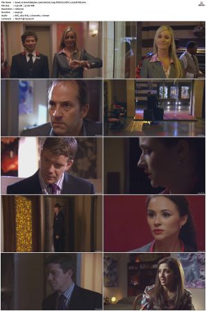 Hotel Babylon 2006 S01 S04 720p WEB-DL HEVC x265 BONE