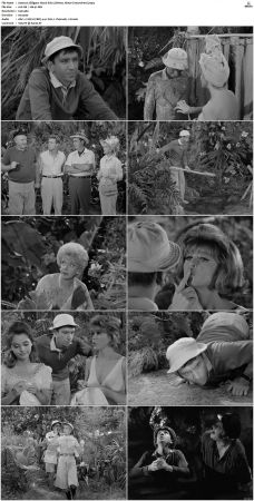 Gilligans Island S01 S03 DVDRip H264-NGP