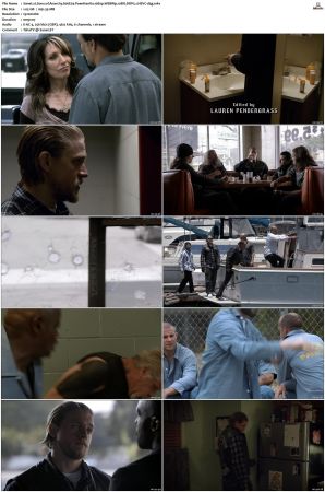 Sons of Anarchy S01-S07 SUPER-PACK 1080p WEBRip 10Bit DDP5.1 HEVC-d3g