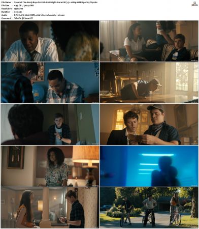 The Hardy Boys S01 S03 WEBRip EAC3 5 1 1080p x265-iVy