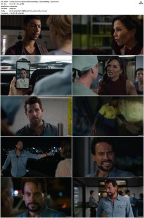 Harrow S01 S03 WEBRip EAC3 5 1 1080p x265-iVy