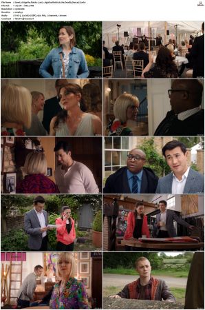 Agatha Raisin S01 S04 1080P AMZN WEB-DL X265-NGP