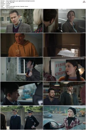 Agatha Raisin S01 S04 1080P AMZN WEB-DL X265-NGP