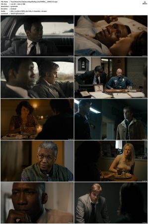 True Detective S01 S04 1080p BluRay x265-RARBG