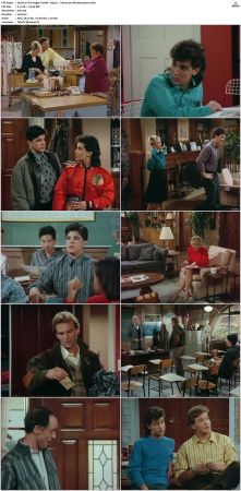 The Hogan Family aka Valerie 1986 S01-S06 SUPER-PACK TVRip x264-NOGRP