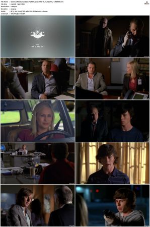 Medium S05 NORDiC 720p WEB-DL H 265 DD5 1-CiNEMiX