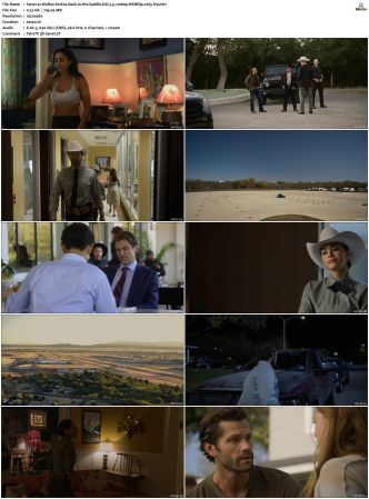 Walker S01 S04 WEBRip EAC3 5 1 1080p x265-iVy