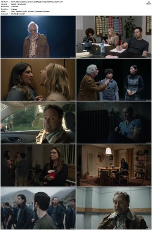 Barry S01 S04 SUPER-PACK WEBRip EAC3 5 1 1080p x265-iVy