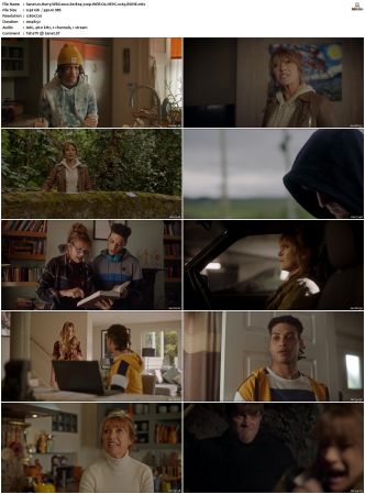 Harry Wild 2022 S01 S03 720p WEB-DL HEVC x265 BONE