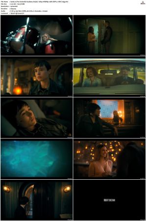 The Umbrella Academy S01-S04 1080p NF WEBRip 10Bit DDP5.1 HEVC-d3g