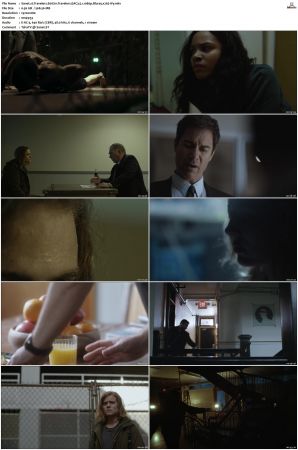 Travelers 2016 S01 S03 Bluray-WEB EAC3 5 1 1080p x265-iVy