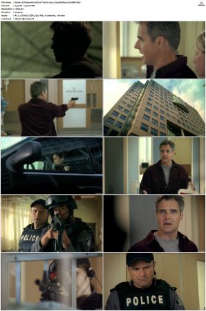 Flashpoint S01 S05 SUPER-PACK 720p BluRay x265-BMF