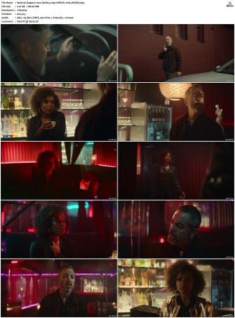 Suspect 2022 S01 S02 720p WEB-DL H264 BONE