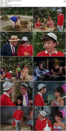 Gilligans Island S01 S03 DVDRip H264-NGP