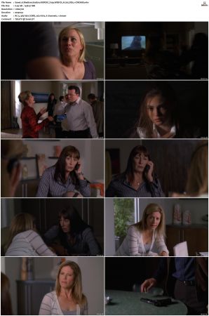 Medium S04 NORDiC 720p WEB-DL H 265 DD5.1-CiNEMiX