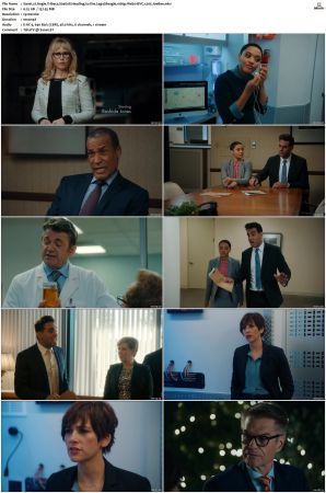 Angie Tribeca S01-S04 SUPER-PACK 1080p WEB DDP5.1 HEVC x265-JoeBee