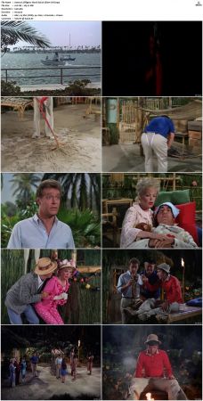 Gilligans Island S01 S03 DVDRip H264-NGP