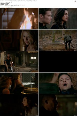 The Originals 2013 S01-S05 SUPER-PACK 1080p WEBRip EAC3 5.1 x265-iVy