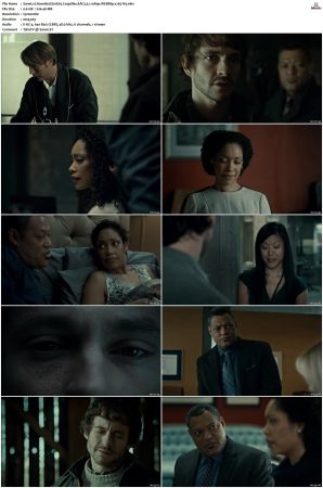 Hannibal S01 S03 WEBRip EAC3 5 1 1080p x265-iVy