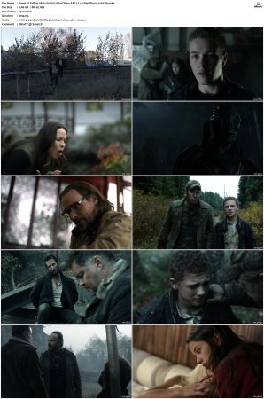 Falling Skies S01-S05 1080p Bluray EAC3 5.1 x265-iVy