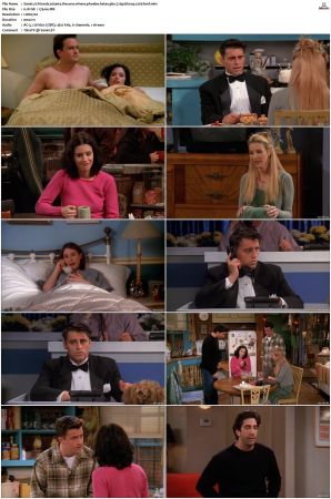 Friends S01-S10 SUPER-PACK 720p BluRay x265-BMF