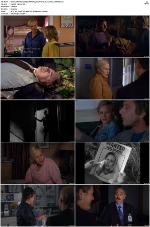 Medium S06 NORDiC 720p WEB-DL H 265 DD5 1-CiNEMiX