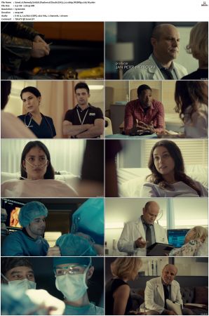 Remedy S01 S02 WEBRip EAC3 2 0 x265-iVy