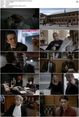 Rake S01 S05 1080p BluRay DDP 2 0 x265-iVy