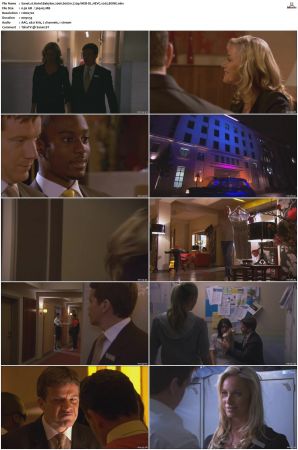 Hotel Babylon 2006 S01 S04 720p WEB-DL HEVC x265 BONE