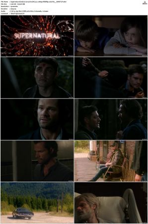 Supernatural S01 S15 WEBRip EAC3 2 0 1080p x265-iVy