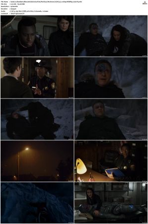 Resident Alien S01 S03 WEBRip EAC3 5 1 1080p x265-iVy