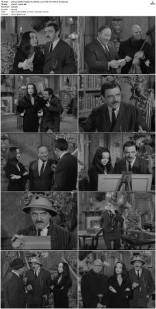 The Addams Family 1964 S01 S02 DVDRip X264-NGP