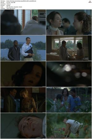 Five Days 2007 S01 S02 720p WEB-DL HEVC x265 BONE