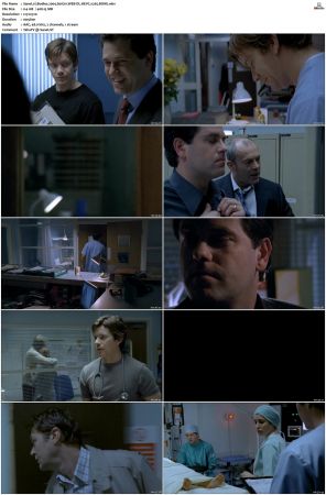 Bodies 2004 S01 S02 WEB-DL HEVC x265 BONE