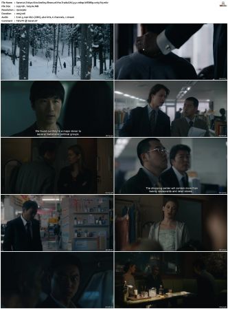 Tokyo Vice S01 S02 WEBRip EAC3 5 1 1080p x265-iVy