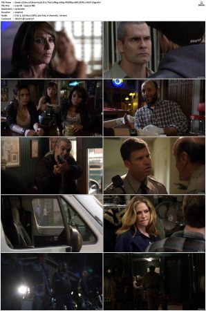 Sons of Anarchy S01 S07 SUPER-PACK 1080p WEBRip 10Bit DDP5 1 HEVC-d3g