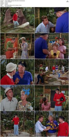 Gilligans Island S01 S03 DVDRip H264-NGP